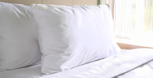 1 Zen Pillow - 50 X 70 cm