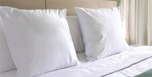 2 Oreillers Zen - 65 X 65 cm