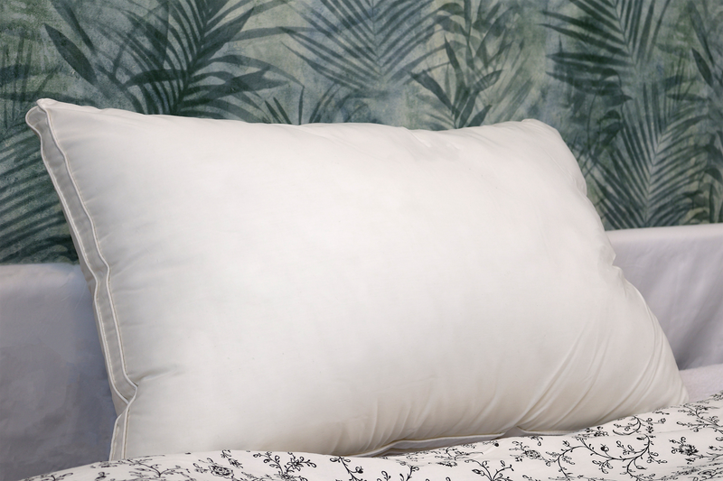 1 Oreiller Zen - 50 X 70 cm convertiblecenter