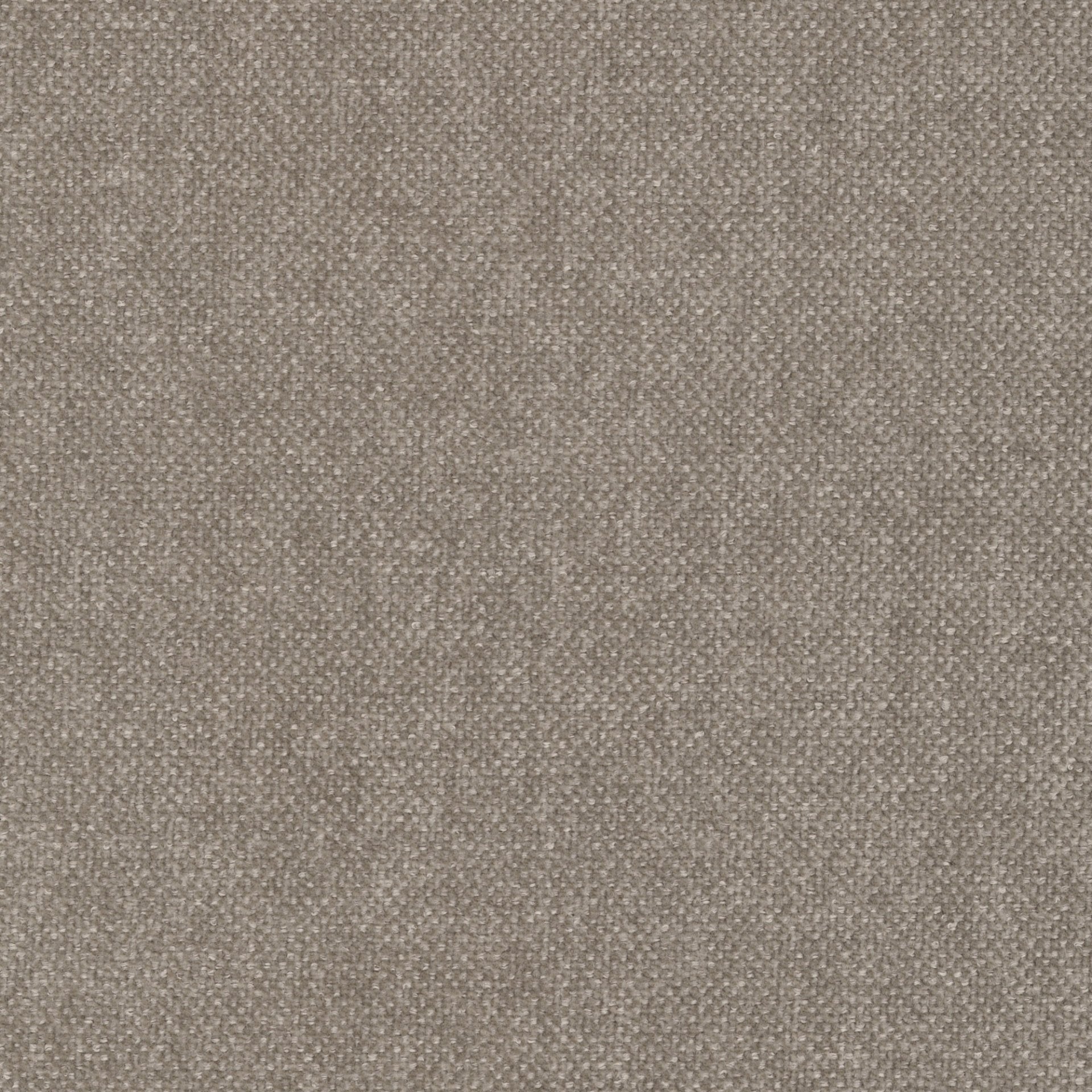 #Taupe clair