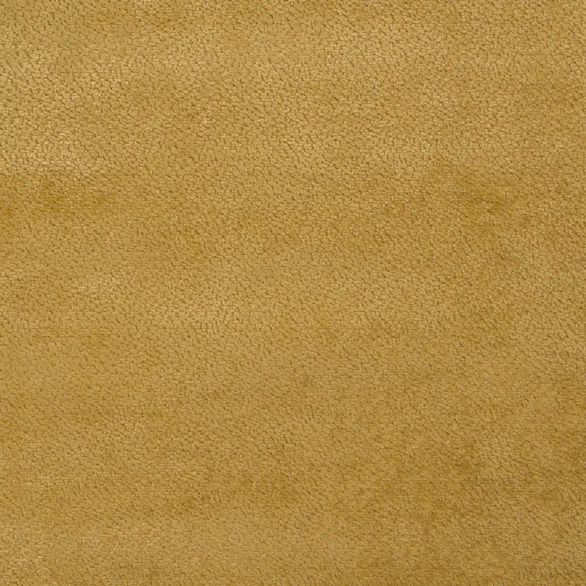 #Moutarde